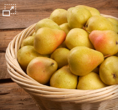 Bilder zur Ernte und Einmaischung